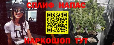 jwh Гусев