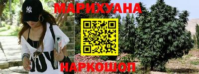 jwh Гусев