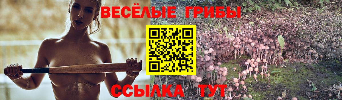 Бугуруслан  Галлюциногенные грибы Cubensis  Псилоцибиновые грибы MAGIC MUSHROOMS  сколько стоит  Вход с VPN 
