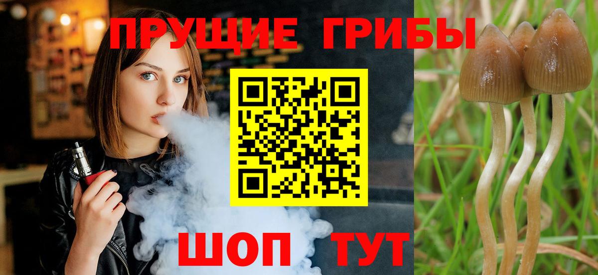 Псилоцибиновые грибы MAGIC MUSHROOMS Бугуруслан